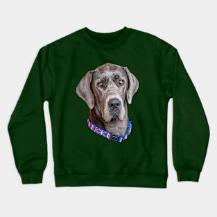 Head of a Blue Great Dane Crewneck Sweatshirt